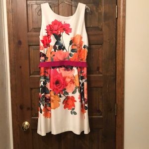 Dress barn rose dress with elastic belt size 16